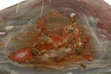 Polished Devil's Red Agate Slab - TeePee Canyon, South Dakota #373411-3